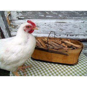 Antique Primitive Clothes pins 1 Dozen Farmhouse